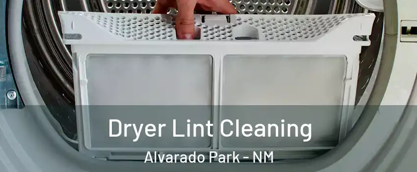 Dryer Lint Cleaning Alvarado Park - NM