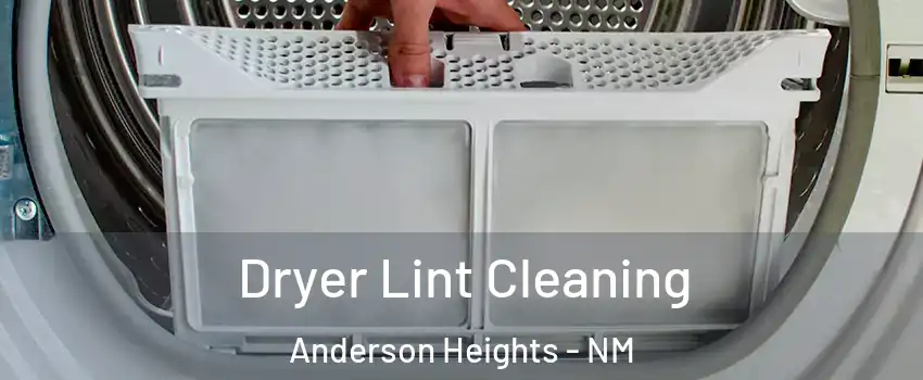 Dryer Lint Cleaning Anderson Heights - NM