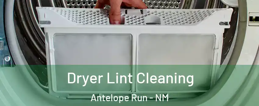 Dryer Lint Cleaning Antelope Run - NM