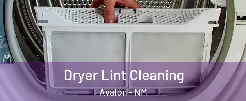 Dryer Lint Cleaning Avalon - NM