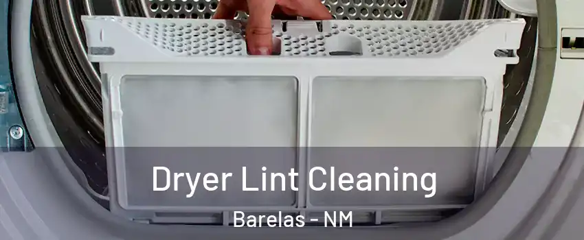 Dryer Lint Cleaning Barelas - NM