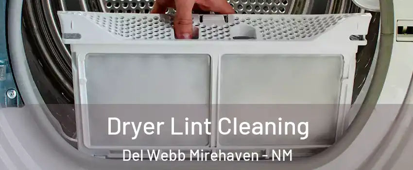Dryer Lint Cleaning Del Webb Mirehaven - NM