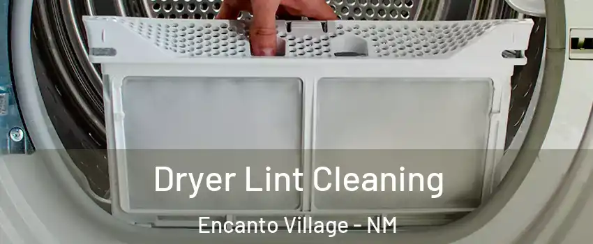 Dryer Lint Cleaning Encanto Village - NM