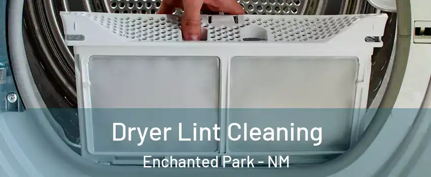 Dryer Lint Cleaning Enchanted Park - NM