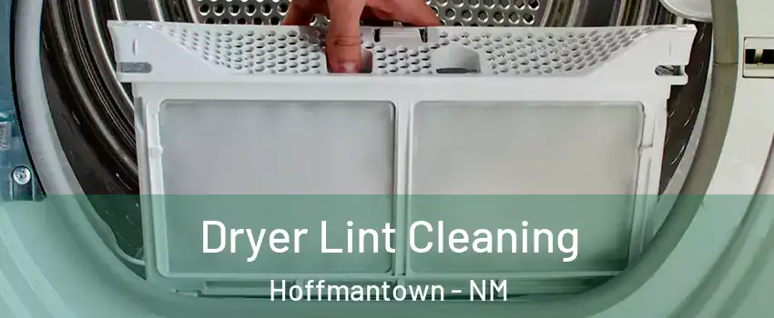 Dryer Lint Cleaning Hoffmantown - NM