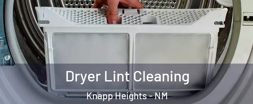 Dryer Lint Cleaning Knapp Heights - NM