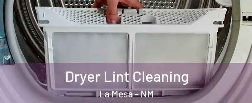 Dryer Lint Cleaning La Mesa - NM