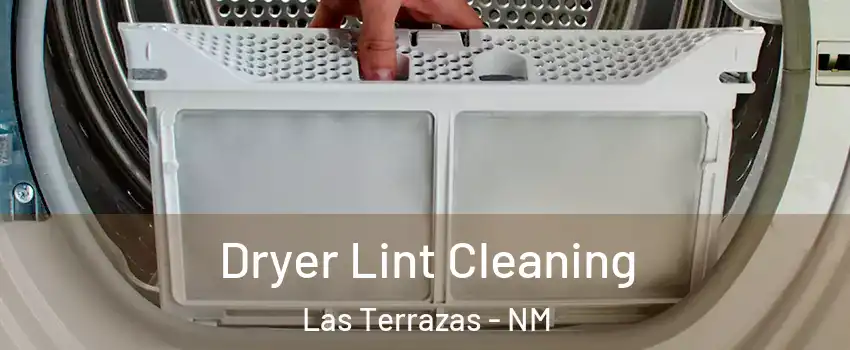 Dryer Lint Cleaning Las Terrazas - NM