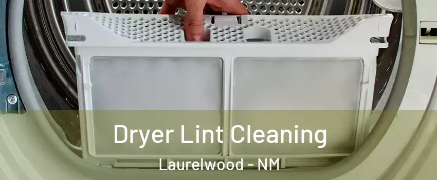 Dryer Lint Cleaning Laurelwood - NM