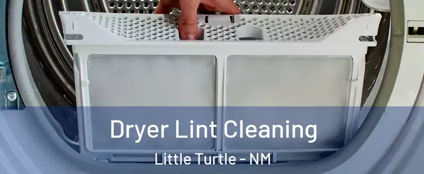 Dryer Lint Cleaning Little Turtle - NM