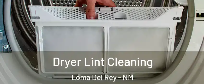 Dryer Lint Cleaning Loma Del Rey - NM
