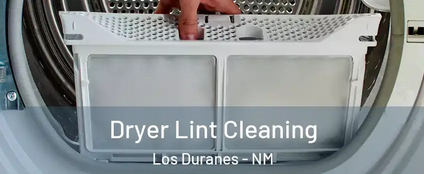 Dryer Lint Cleaning Los Duranes - NM
