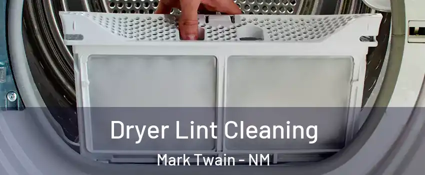 Dryer Lint Cleaning Mark Twain - NM