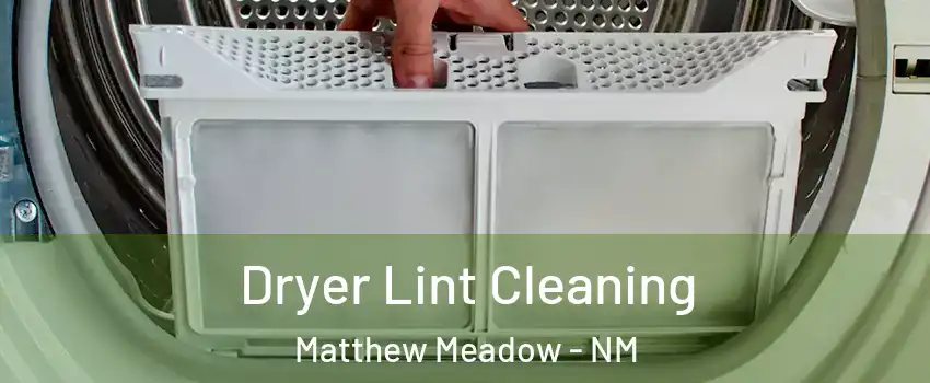 Dryer Lint Cleaning Matthew Meadow - NM
