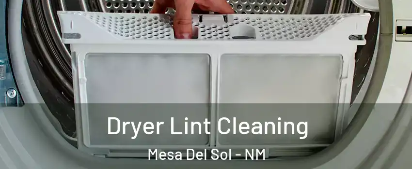 Dryer Lint Cleaning Mesa Del Sol - NM