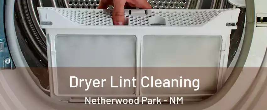 Dryer Lint Cleaning Netherwood Park - NM