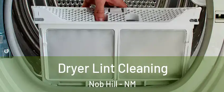 Dryer Lint Cleaning Nob Hill - NM