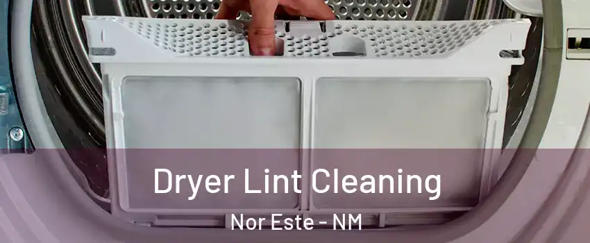 Dryer Lint Cleaning Nor Este - NM