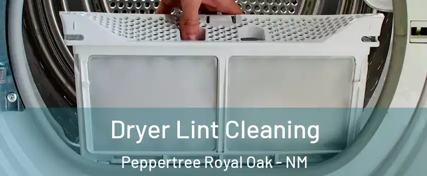 Dryer Lint Cleaning Peppertree Royal Oak - NM