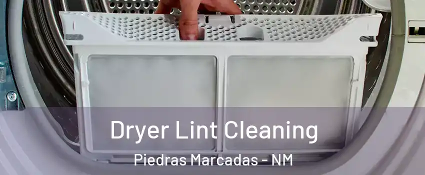 Dryer Lint Cleaning Piedras Marcadas - NM