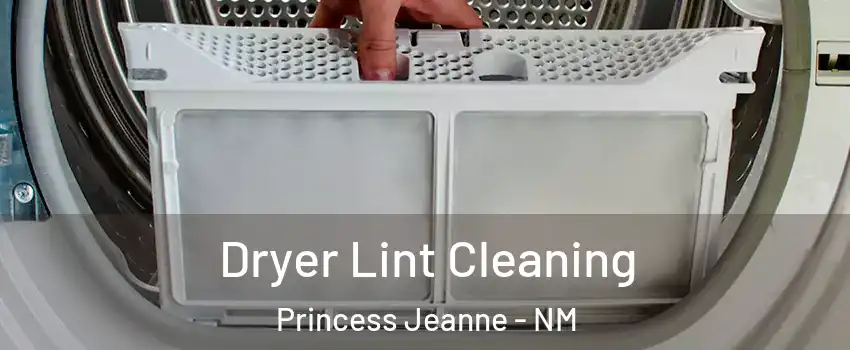 Dryer Lint Cleaning Princess Jeanne - NM