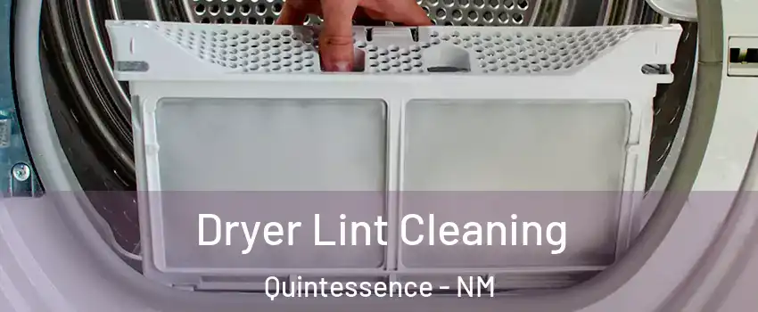Dryer Lint Cleaning Quintessence - NM