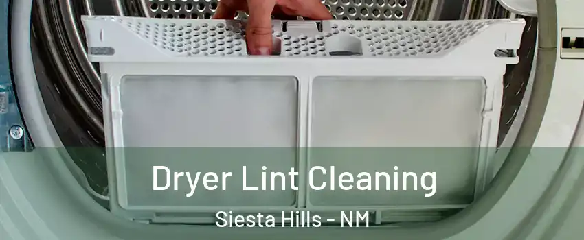 Dryer Lint Cleaning Siesta Hills - NM