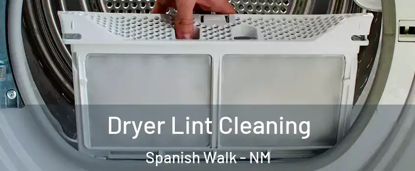 Dryer Lint Cleaning Spanish Walk - NM