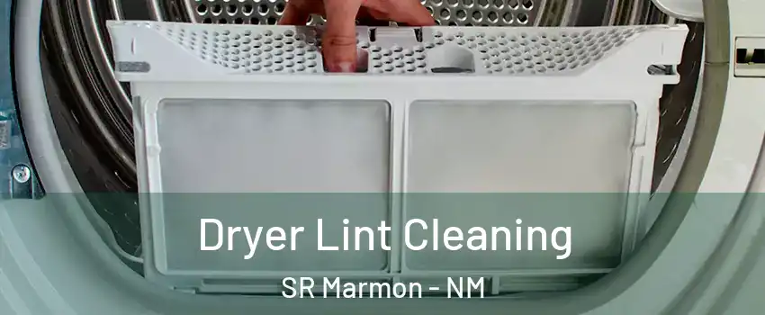 Dryer Lint Cleaning SR Marmon - NM