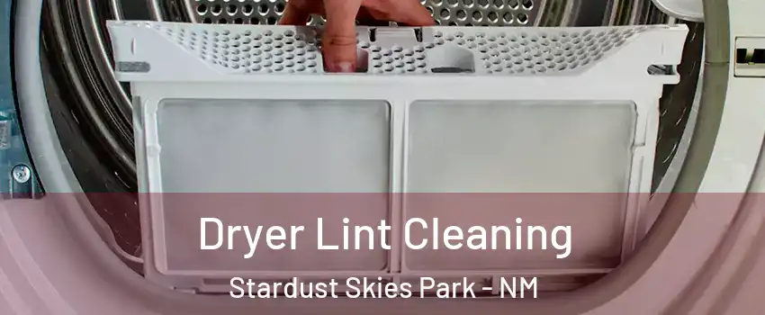 Dryer Lint Cleaning Stardust Skies Park - NM