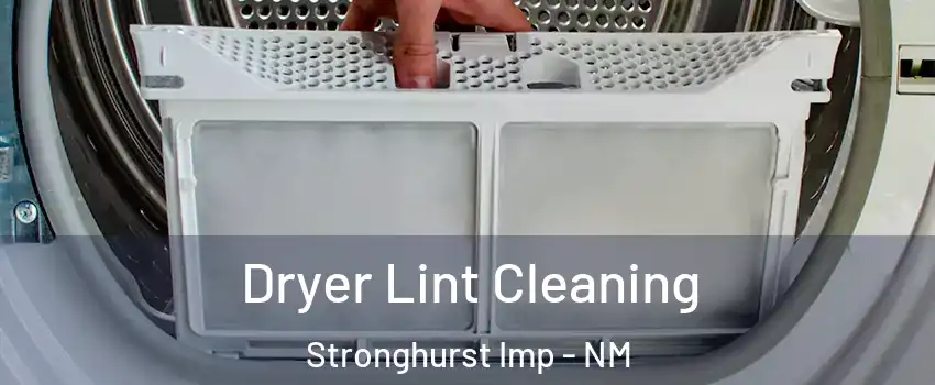 Dryer Lint Cleaning Stronghurst Imp - NM