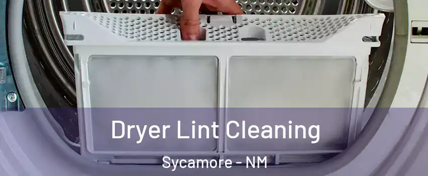 Dryer Lint Cleaning Sycamore - NM
