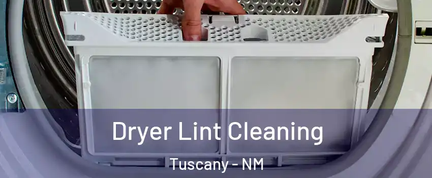Dryer Lint Cleaning Tuscany - NM