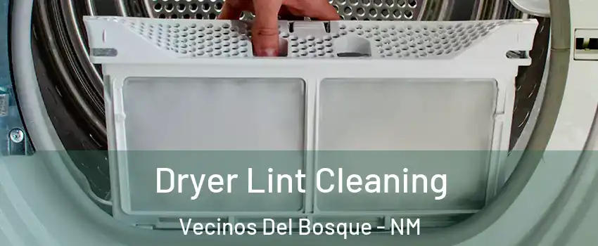 Dryer Lint Cleaning Vecinos Del Bosque - NM