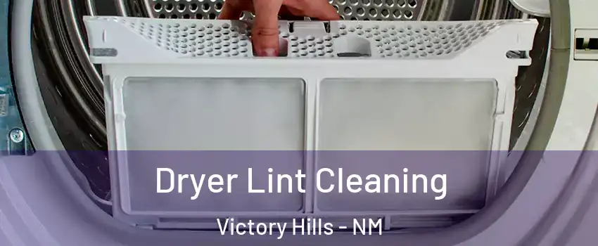Dryer Lint Cleaning Victory Hills - NM