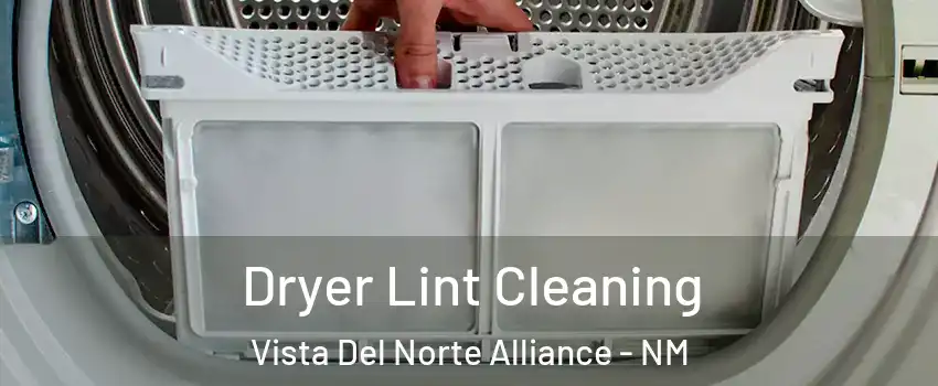 Dryer Lint Cleaning Vista Del Norte Alliance - NM