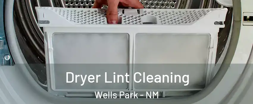 Dryer Lint Cleaning Wells Park - NM
