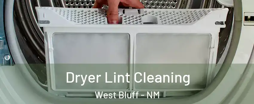 Dryer Lint Cleaning West Bluff - NM