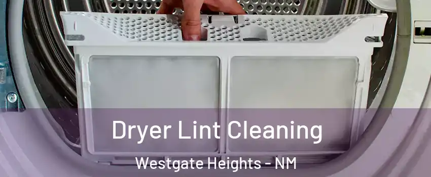 Dryer Lint Cleaning Westgate Heights - NM