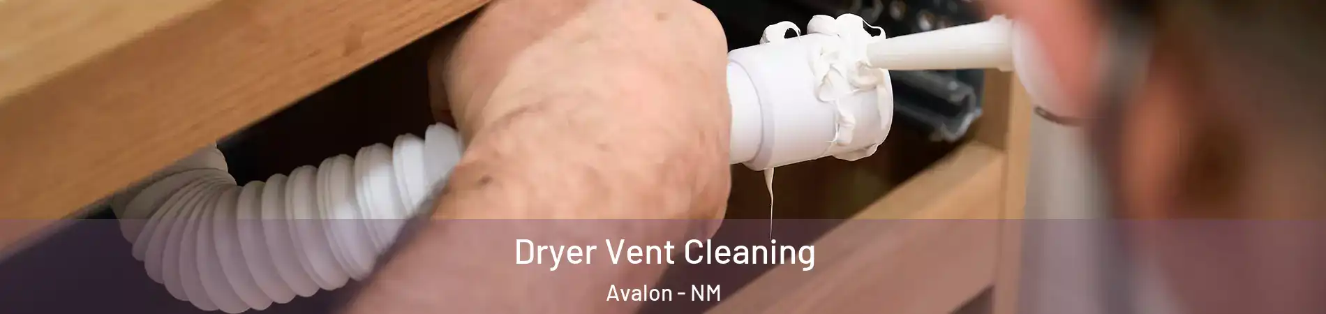 Dryer Vent Cleaning Avalon - NM