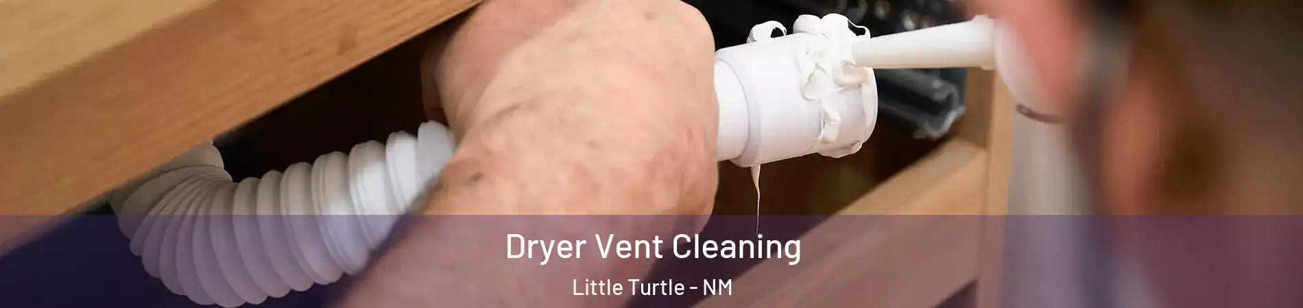 Dryer Vent Cleaning Little Turtle - NM