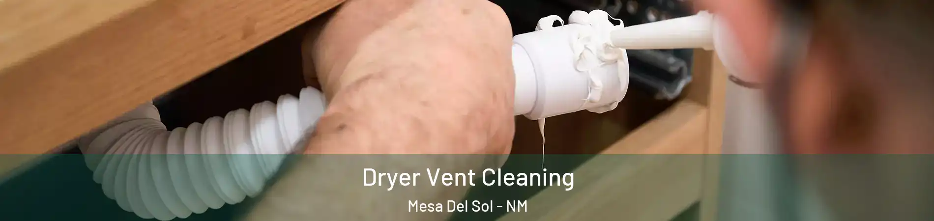 Dryer Vent Cleaning Mesa Del Sol - NM