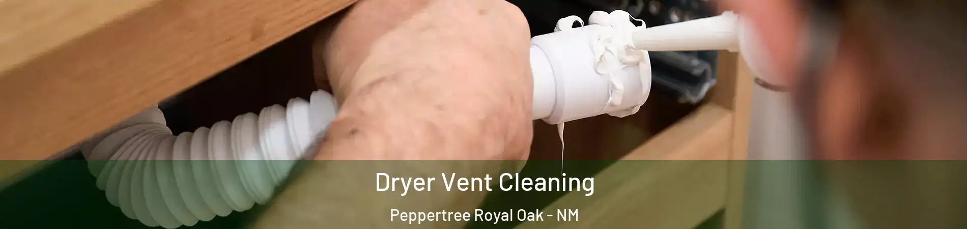 Dryer Vent Cleaning Peppertree Royal Oak - NM