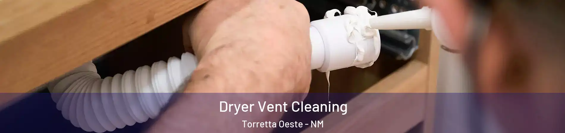 Dryer Vent Cleaning Torretta Oeste - NM