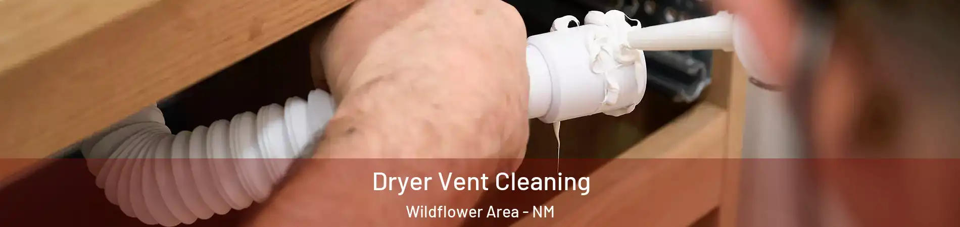 Dryer Vent Cleaning Wildflower Area - NM