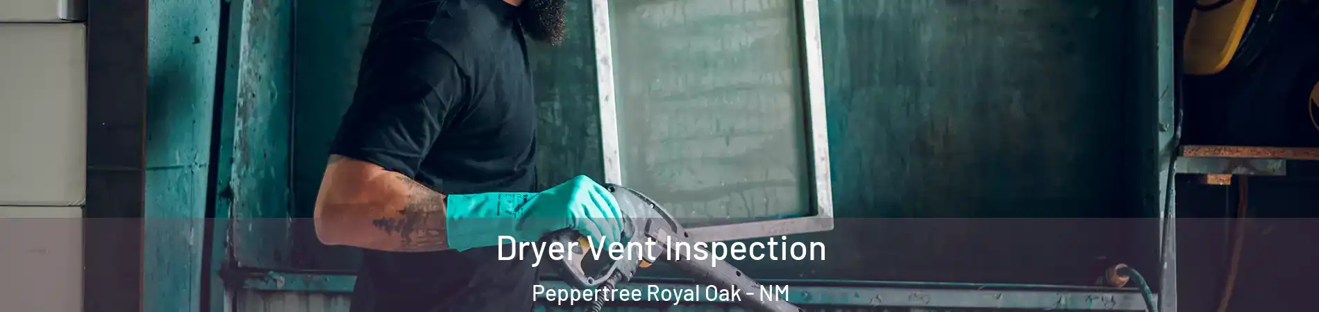 Dryer Vent Inspection Peppertree Royal Oak - NM