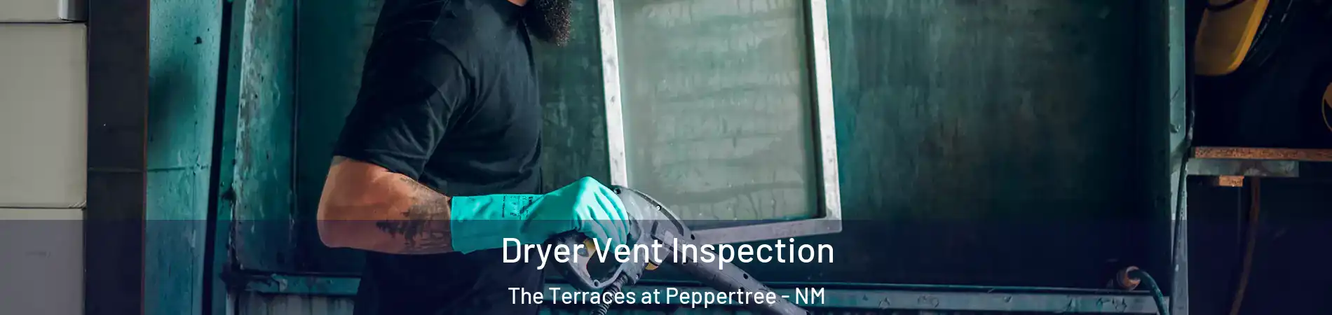 Dryer Vent Inspection The Terraces at Peppertree - NM