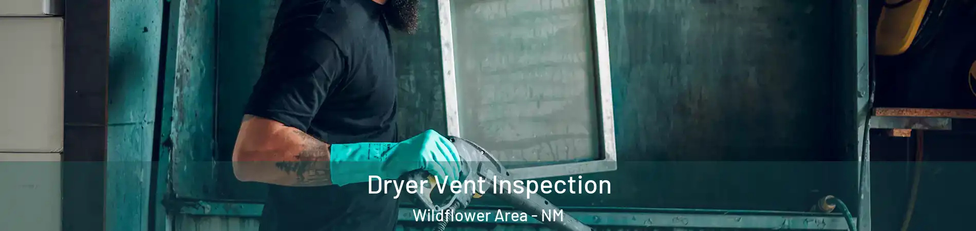 Dryer Vent Inspection Wildflower Area - NM