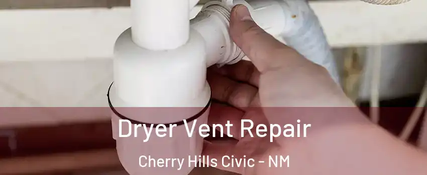 Dryer Vent Repair Cherry Hills Civic - NM
