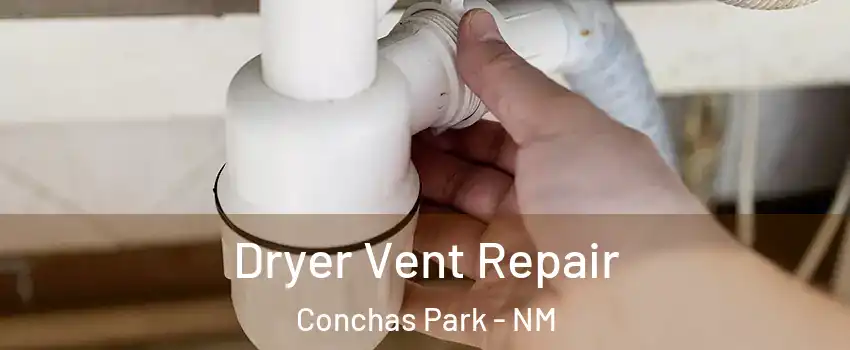 Dryer Vent Repair Conchas Park - NM